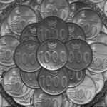 探索移民DIY之路：自主规划未来的新选择与挑战