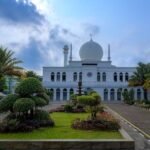 探索移民机构：助力跨越国界的桥梁与风向标