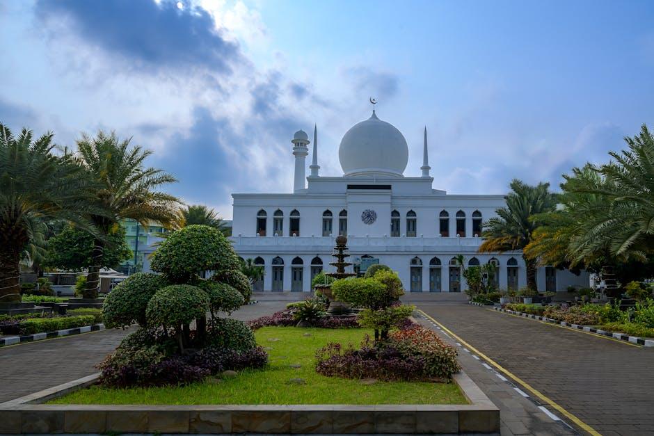 解读移民机构：助力全球迁徙的新桥梁与挑战