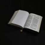 突破国界的通行证：海外护照全解析与实用指南