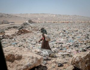 探索第三国籍：跨越国界的新身份选择与挑战