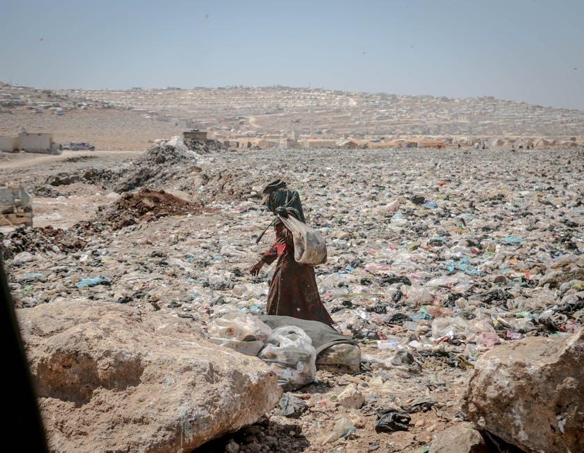 探索第三国籍：跨越国界的新身份选择与挑战