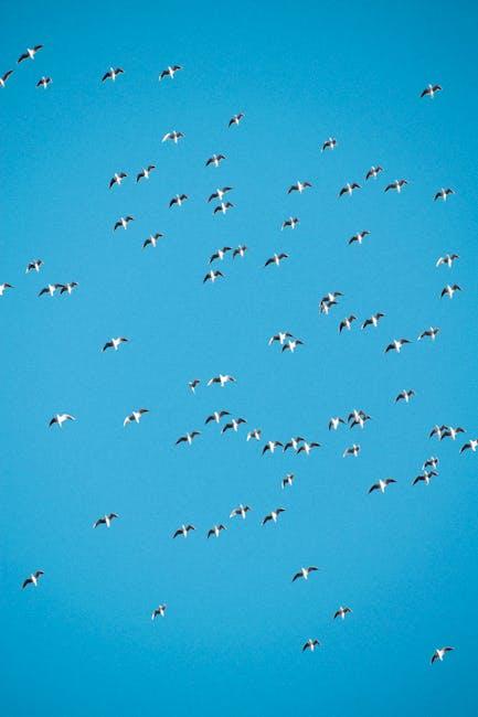 全球移民趋势及热门目的地深度解析