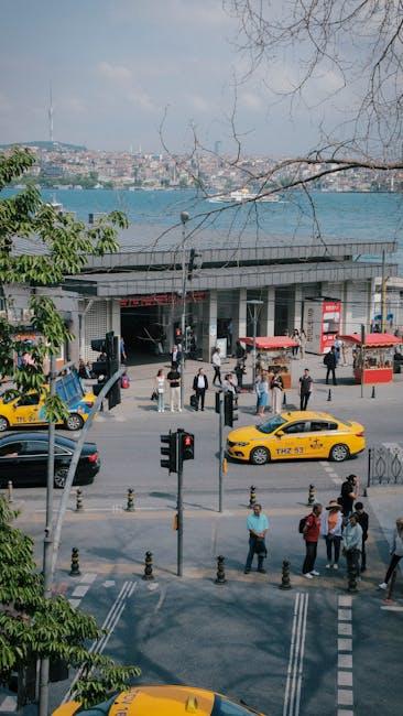 海外移民公司的核心服务与优势解析