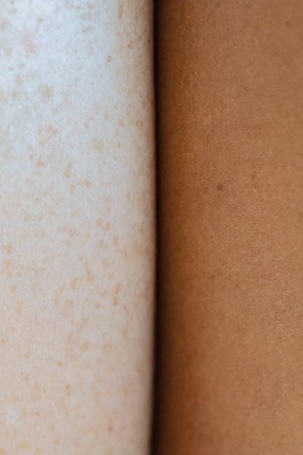 两本护照的法律框架与国际案例分析