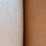 双重身份的秘密：探寻“两本护照”的多重世界