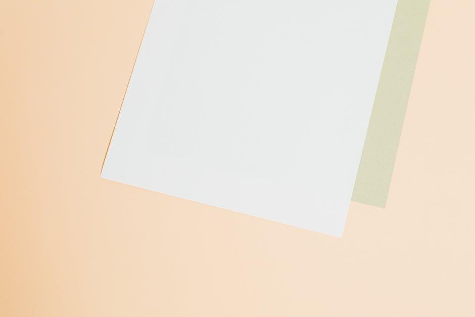 精准评估个人背景 优化学历工作经验与语言能力配置