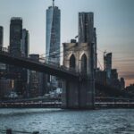 破解创业移民新局：机遇、挑战与未来发展路径探析