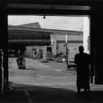 跨境新机遇：深度解析公司移民的策略与未来发展