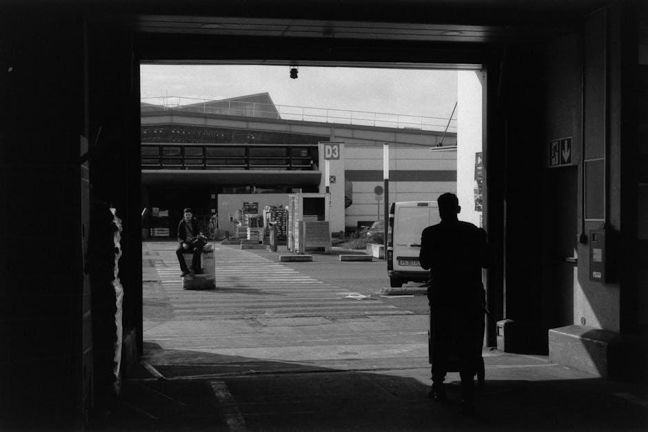 跨境新机遇：深度解析公司移民的策略与未来发展