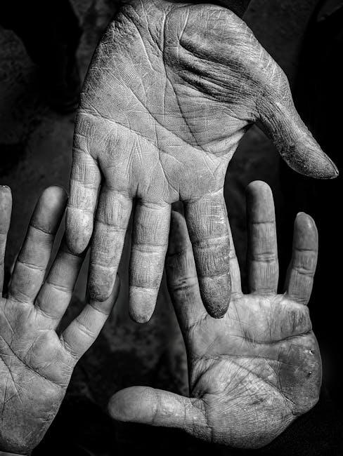 全球移民热潮：最新移民国家排名全解析