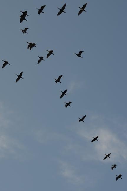 全球移民趋势大揭秘:最新移民国家排名盘点 1 全球移民流动的新格局与驱动因素