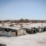 全家移民新篇章：开启共同筑梦的多彩生活旅程