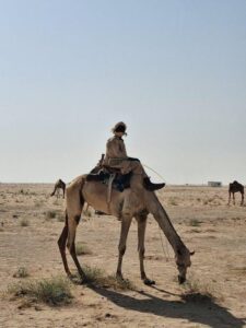 探索海外新机遇：海外移民公司的全面指南与选择秘诀