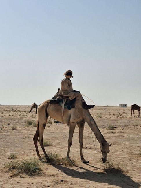 探索海外新机遇：海外移民公司的全面指南与选择秘诀