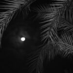 揭秘移民DIY全攻略：自主规划新生活的实用指南