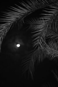 揭秘移民DIY全攻略：自主规划新生活的实用指南