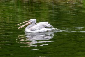 全球视角：最新移民国家排名全解析与趋势观察