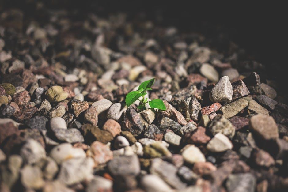 适应新环境的实用策略与心理调整