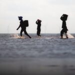 揭秘移民全攻略：一步步踏上海外新生活之路