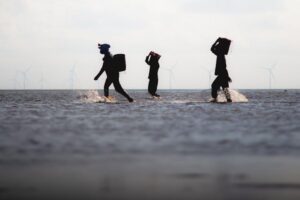 揭秘移民全攻略：一步步踏上海外新生活之路