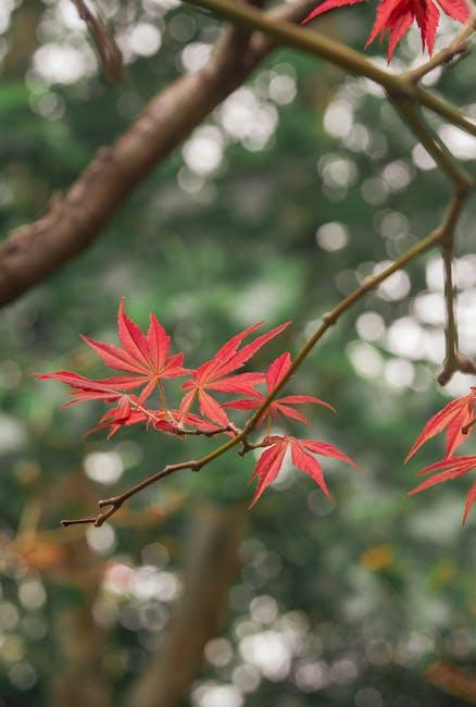 解锁自由之门：深入解析欧洲护照的优势与挑战