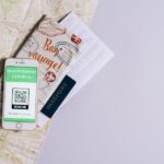 便捷出行新选择：海外申请护照在线预约App攻略