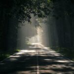 穿越边境的梦想：解读欧盟移民新趋势与挑战