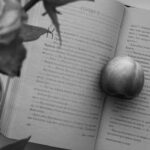 开启新生活：全面解析移民指南助您顺利踏上异乡之旅