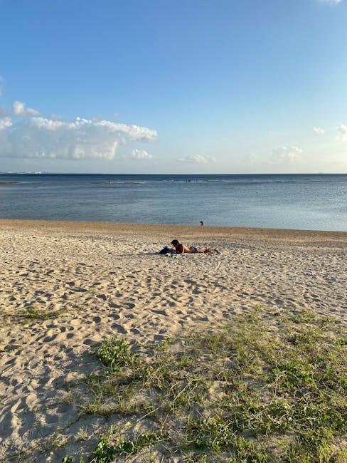 选择圣基茨的独特优势与生活品质评估