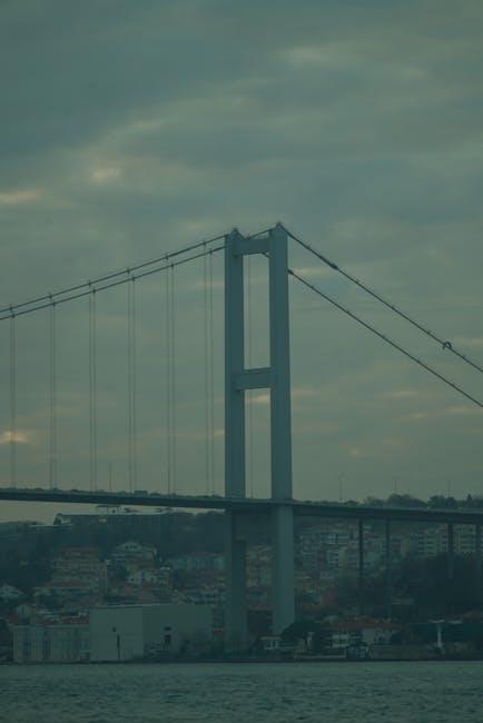 揭秘海外投资移民的核心优势与潜在风险