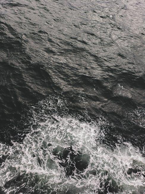 漂洋过海的生活挑战与文化适应策略