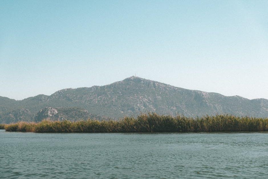 全家移民:从梦想到现实的跨国新生活指南 2 选择理想目的地的关键因素
