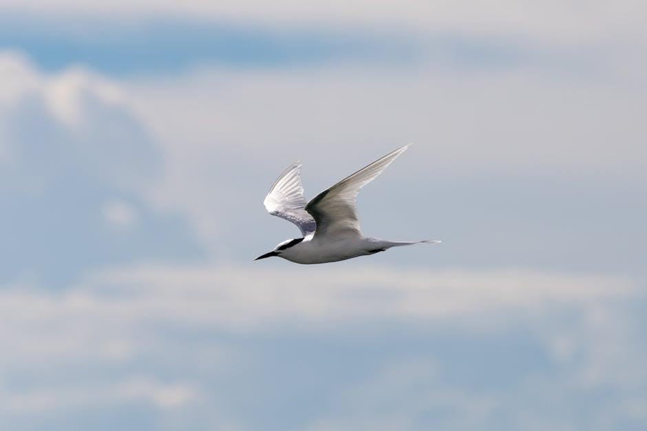 破解移民门槛:走进全球移民新趋势与挑战 2 全球移民新趋势中的机遇与挑战解析