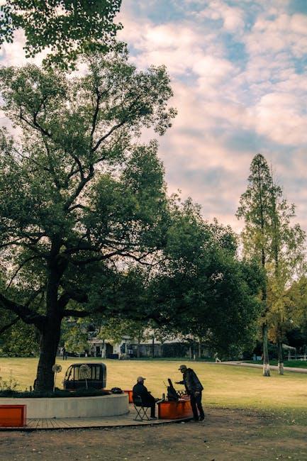 “两本护照:跨越国界的身份与机遇探秘” 2 跨境生活的优势与潜在挑战深度剖析