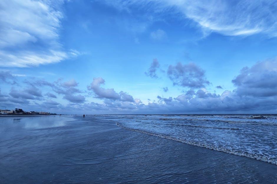 全球通行自由的现状与趋势分析