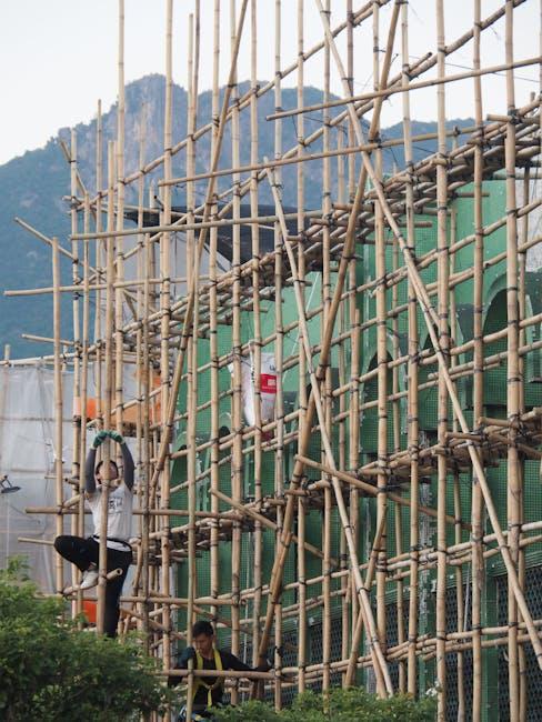 法理视角下的身份认定与权利界限