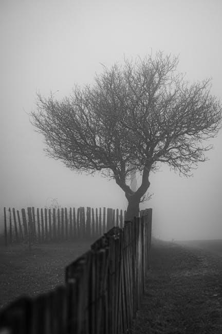 穿越文化迷雾 探索身份认同的多重维度