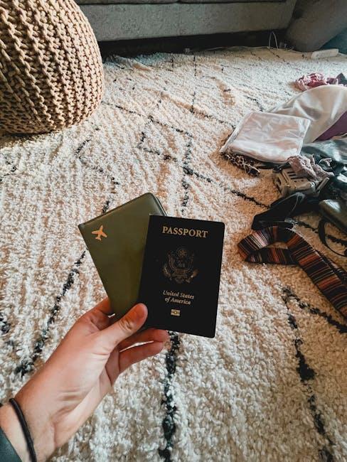 护照中介行业全景透析