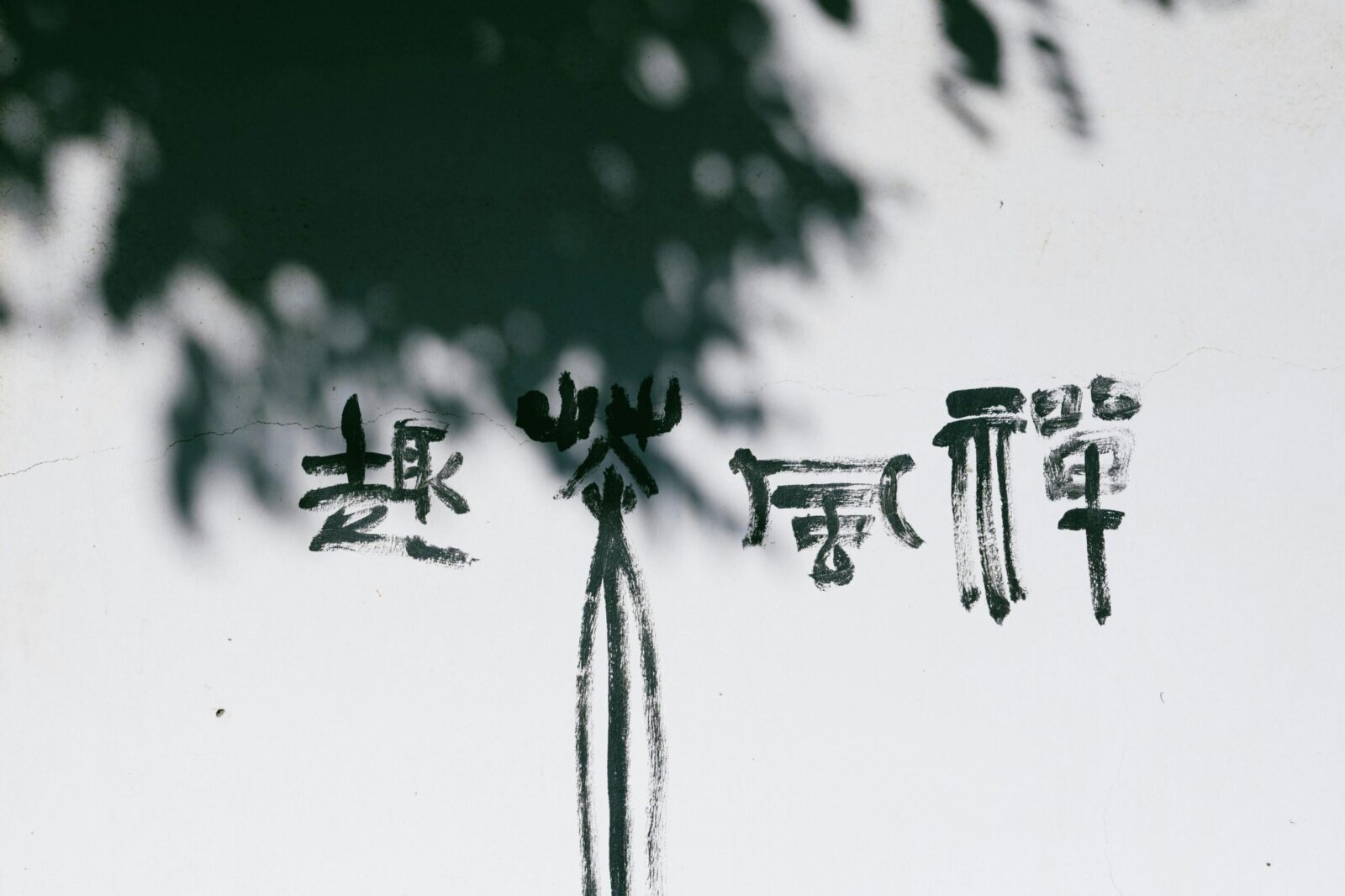 透视投资移民风险:理性决策守护未来财富安全 1 c824b1804c.jpg8d28 scaled