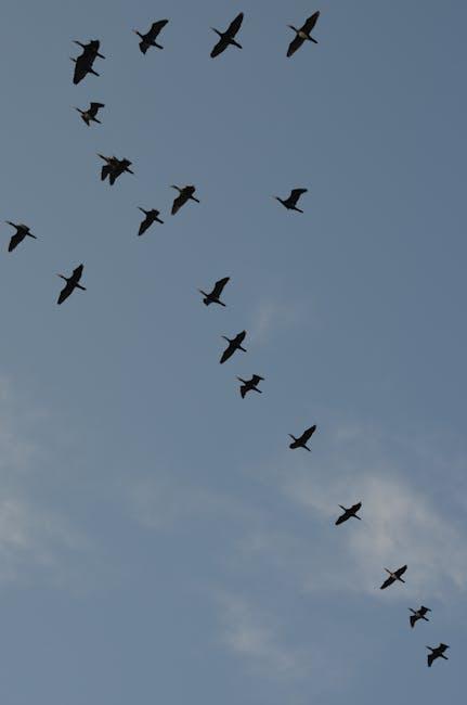 全球移民趋势揭秘 多元文化的吸引力解析