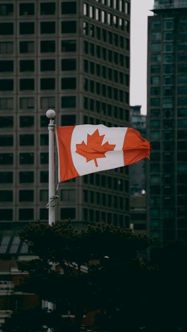 自助移民前的全面准备与资源整合