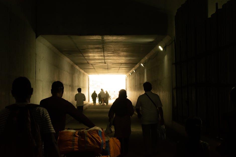 核心环节揭秘 掌握移民关键步骤与要求