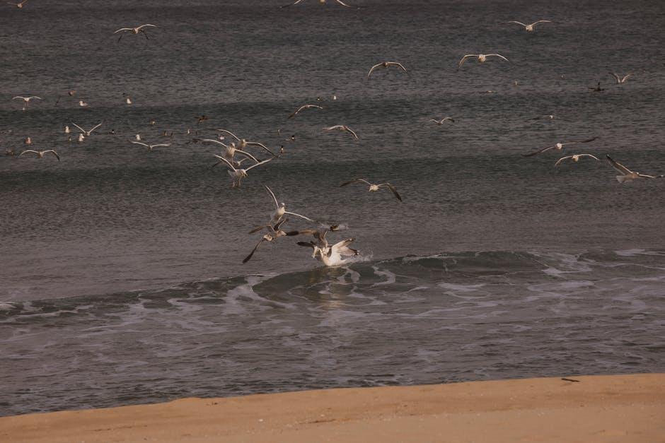大西洋移民潮背后的历史根源与驱动力