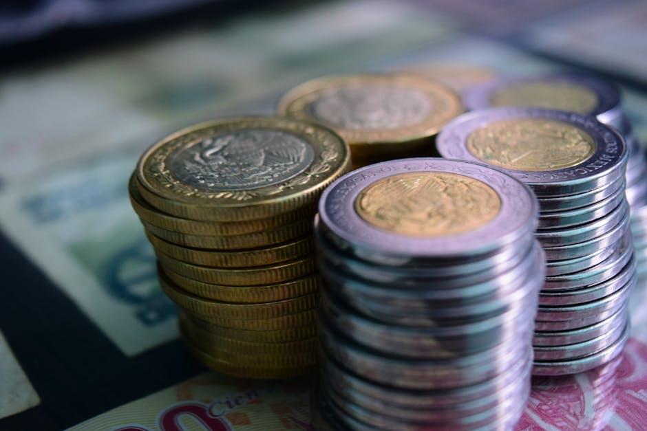 深入分析资金投入与潜在回报的平衡点