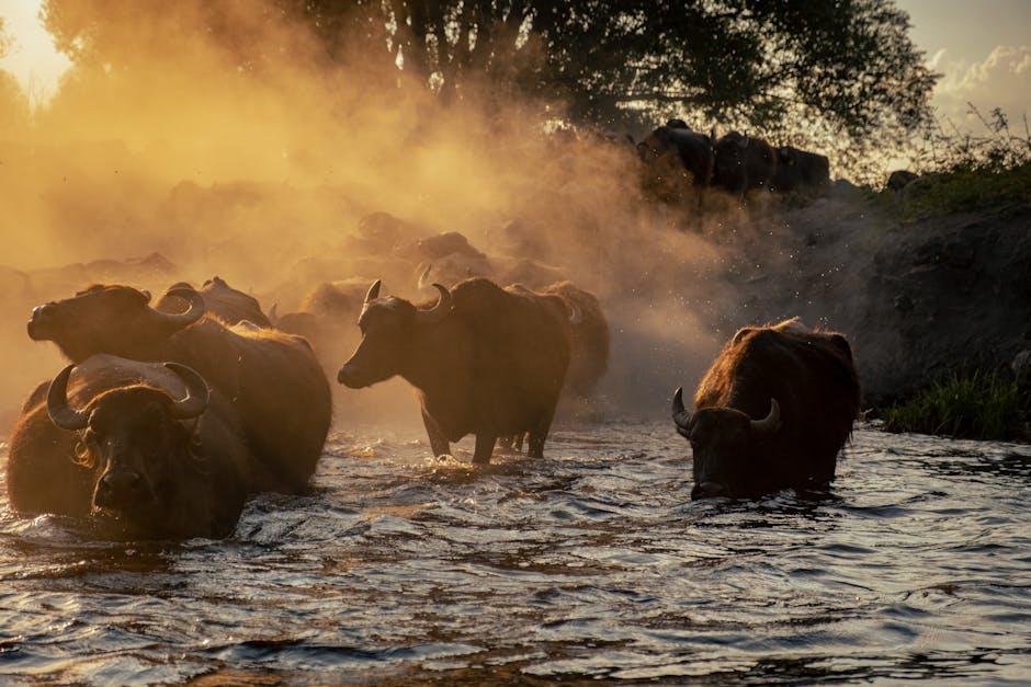 移民流动的短期震荡与长期社会经济效应