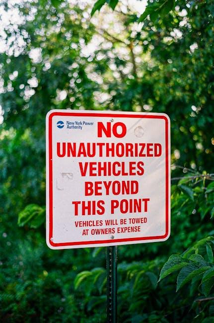 新规实施带来的短期变革与长期趋势展望