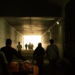 穿越界限：解读全球移民门槛的变化与趋势