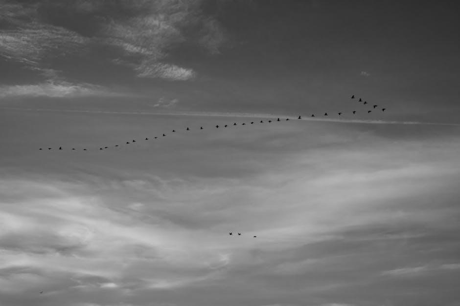 全球移民国家排行榜解析：谁最受欢迎？谁最适合？