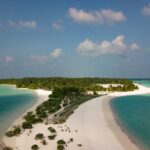 探索岛国移民潮：机遇与挑战并存的新篇章